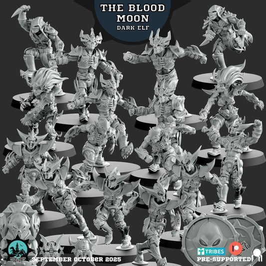 Blood Moon Dark Elves Team Complete Team or Parts - Fantasy Football - Realm Of Paths Miniatures
