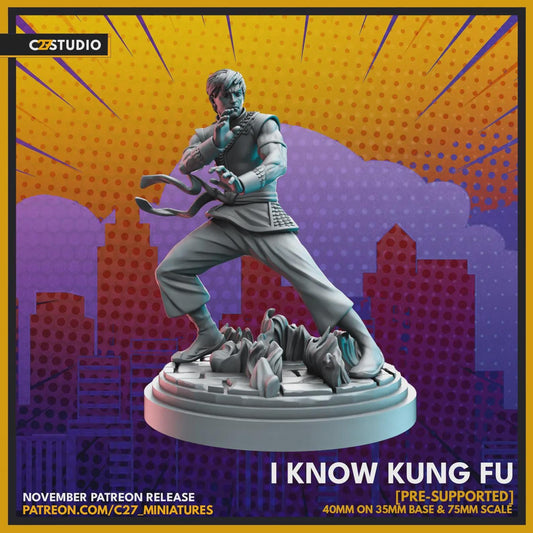 Shang Chi - I Know Kung Fu by C27 - 40mm scale - Crisis Protocol Proxy Miniature