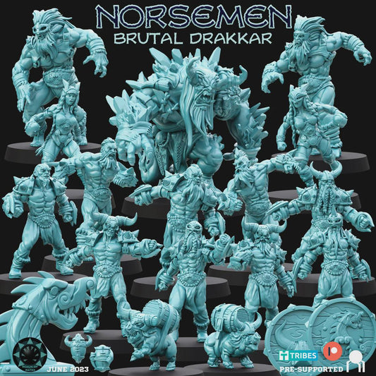 Brutal Drakkar Team - Realm Of Paths Miniatures - Fantasy Football